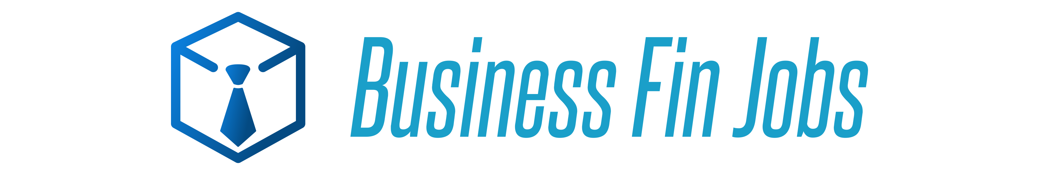 businessfinjobs.com